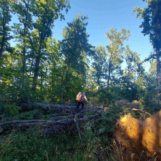 Probijanje kroz zakrčene putove/Foto: Planinarsko društvo Petrov vrh