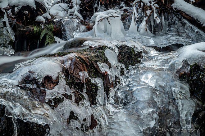 Predivni prizori s Papuka/Foto: Dejan Adžić