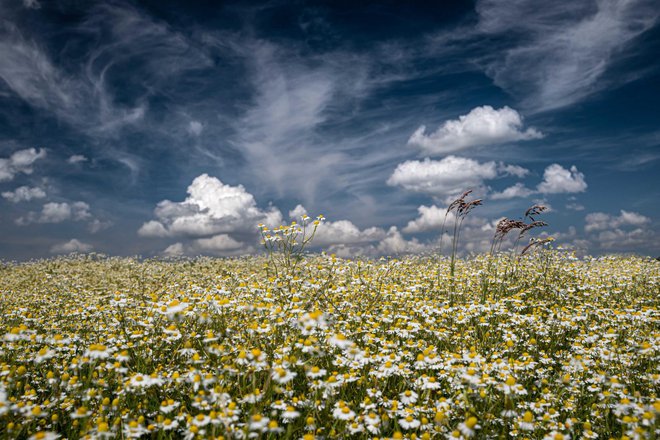 Fotografija koja je ostavila bez daha stručni žiri/Foto: Dejan Adžić