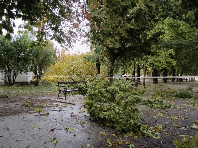 Foto: Slavica Trgovac Martan