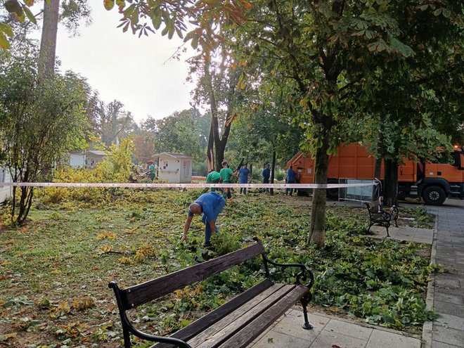 Središnji park je najgore prošao/Foto: Slavica Trgovac Martan