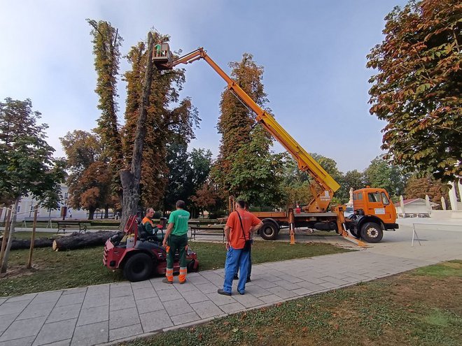 Foto: Slavica Trgovac Martan