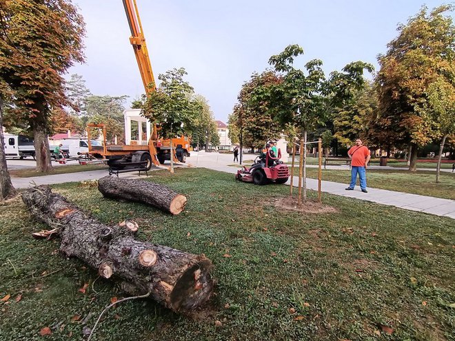 Foto: Slavica Trgovac Martan