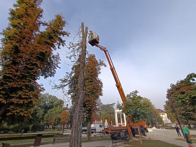 Foto: Slavica Trgovac Martan