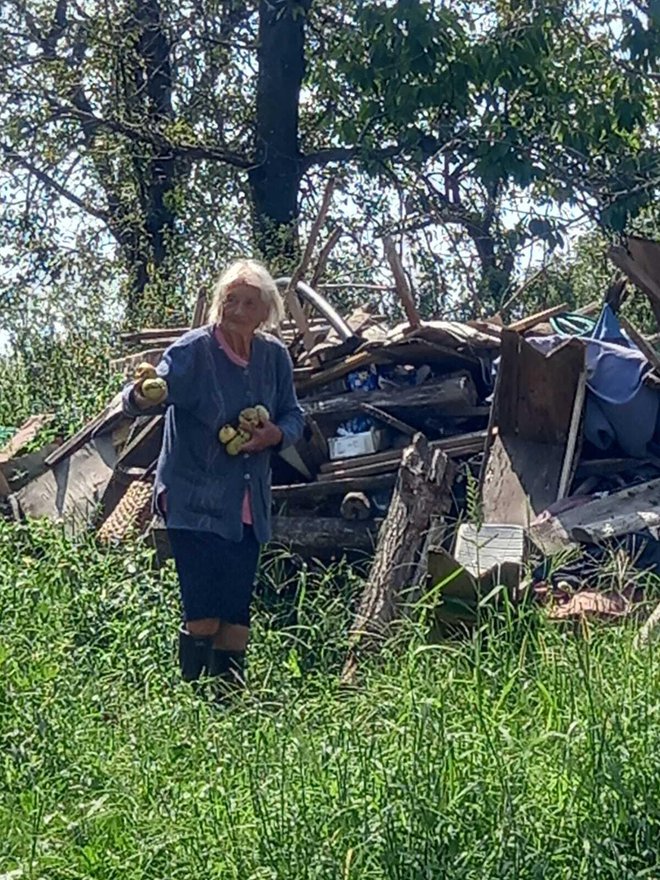 Kata skuplja kruške/Foto: Čitateljica