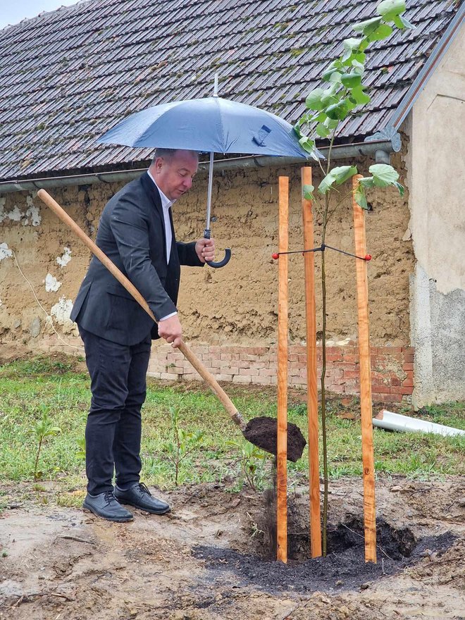 Foto: Predrag Uskoković/Grad Daruvar