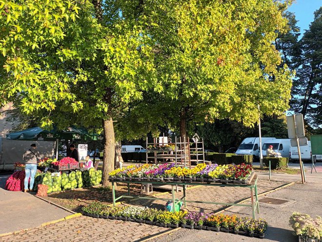 Foto: Gradska tržnica Daruvar