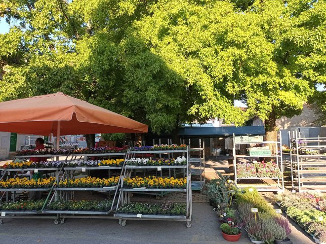 Foto: Gradska tržnica Daruvar