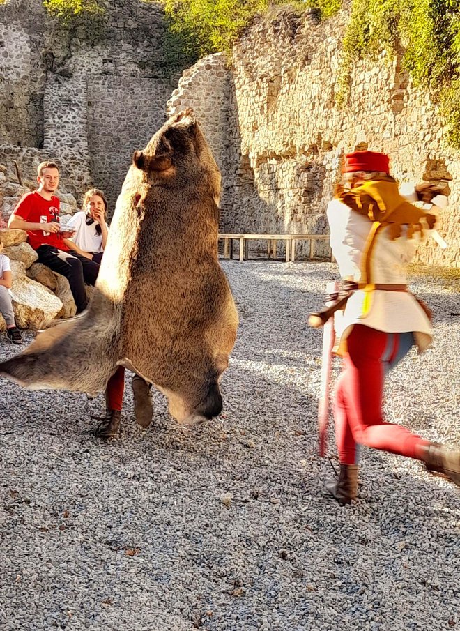 VIteške borbe bile su vrlo atraktivne/Foto: Udruga Lipa Garešnica