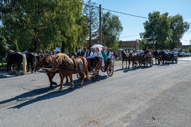 Prekrasni prizori iz Moslavine/Foto: Dejan Adžić