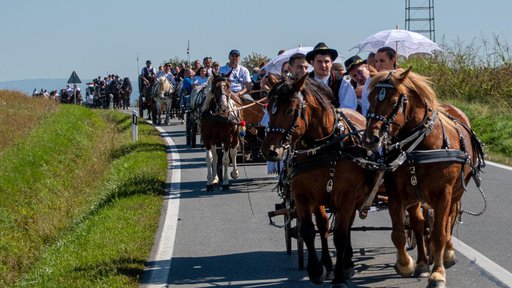 Na Fijakerijadu obitelji Perić stigle stotine ljudi: ''Ljubav prema konjima nam je upisana u gene''