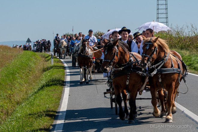 Svečana povorka prodefilirala je kroz Duhove, Uljanik i Hrastovac/Foto: Dejan Adžić