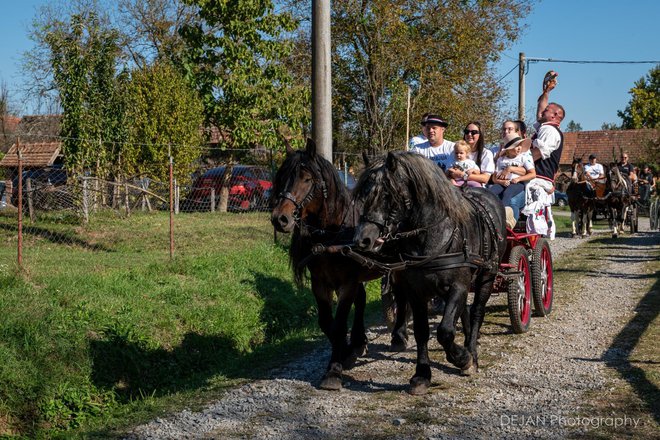 Foto: Dejan Adžić