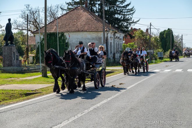 Foto: Dejan Adžić