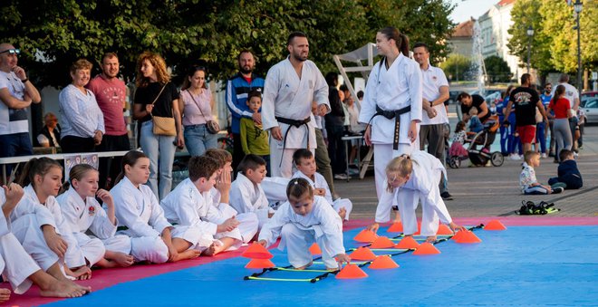 Foto: Predrag Uskoković/Grad Daruvar