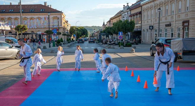 Foto: Predrag Uskoković/Grad Daruvar