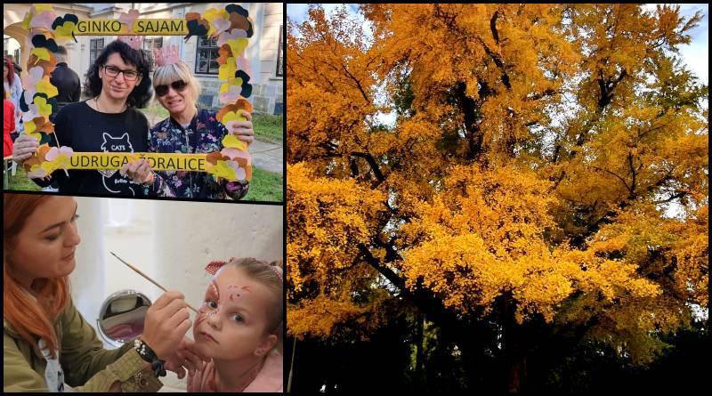 Fotografija: Rezervirajte subotu za posjet Ginko sajmu u Daruvaru/Foto: Predrag Uskoković i MojPortal