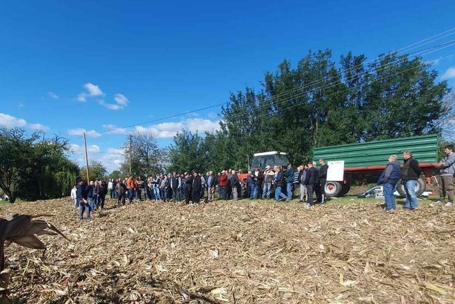 Na danima polja na obiteljskom imanju okupilo se mnoštvo/Foto: Josipa Trgovac