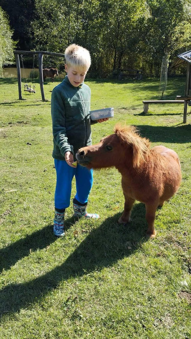 I vi možete pomoći, poručuje Duje/Foto: Grgin konak