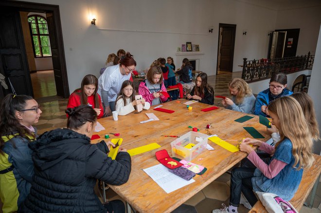 Radionicu za mlade vodila je Melita Sić Špoljar/Foto: Predrag Uskoković/Grad Daruvar