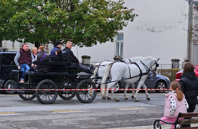 Kočija s lipicancima vozila je pojetitelje oko centra Lipika/