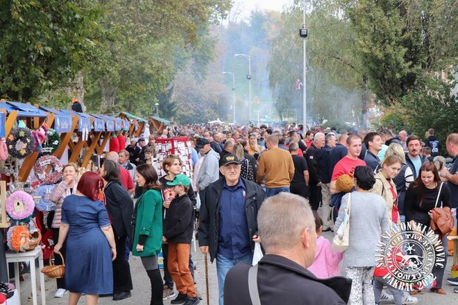 Gužva u Ulici matice hrvatske u kojoj se održavao Sajam/Foto: Sajam Slavonski banovac