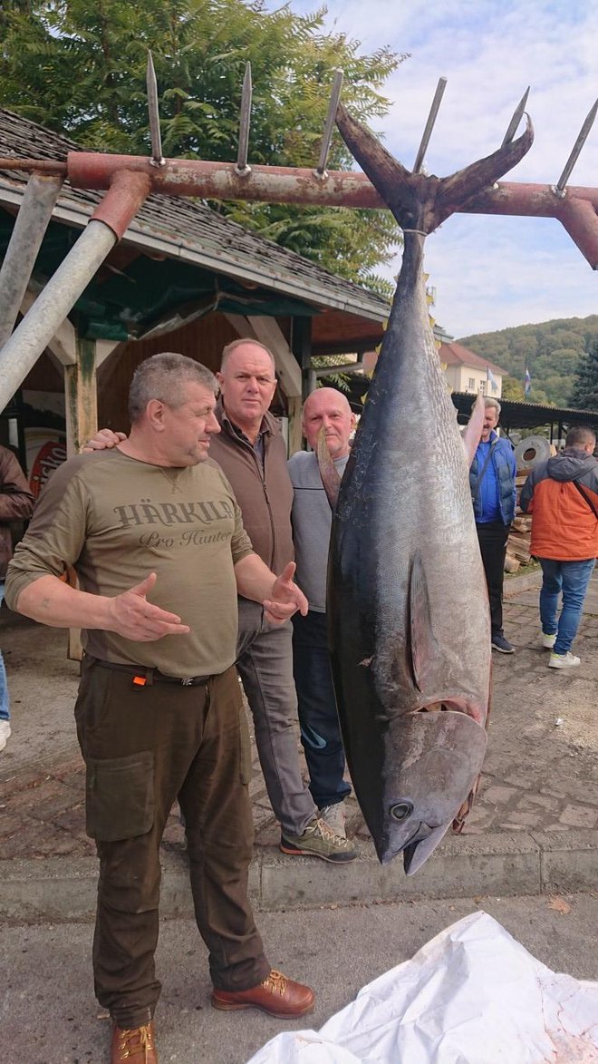 Tuna/Foto: Mario Barać