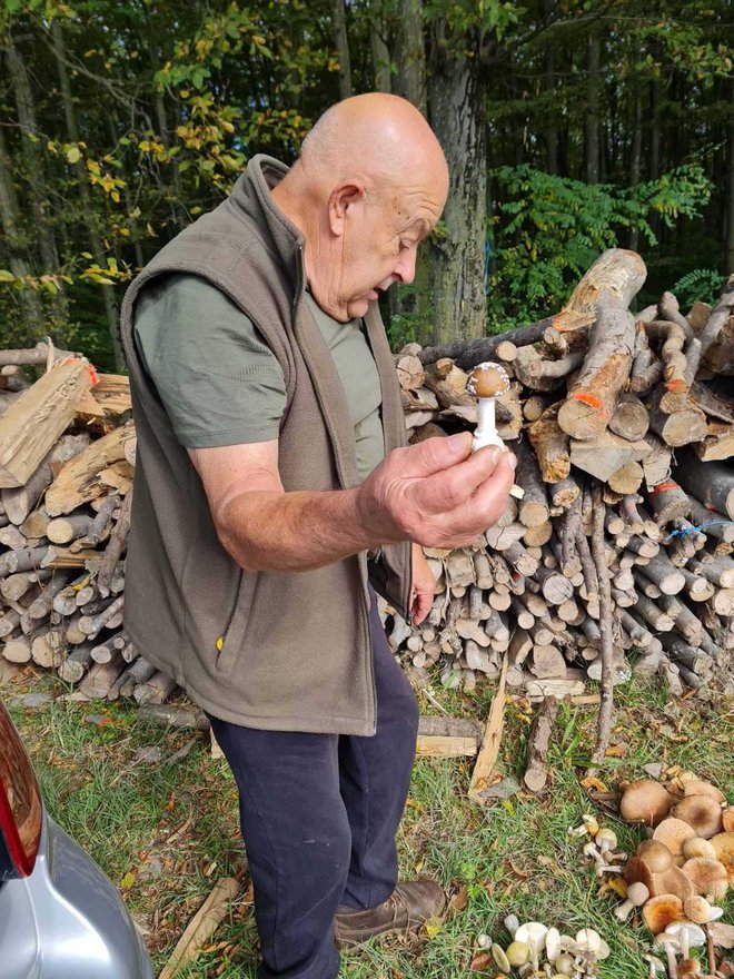 Foto: Ekonomska i turistička škola Daruvar