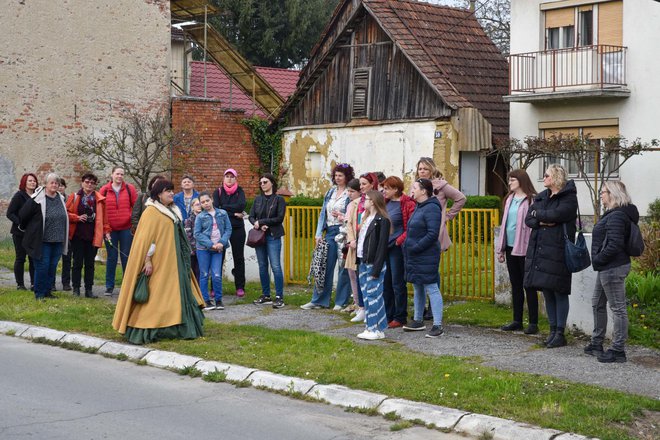 Foto: Predrag Uskoković/Grad Daruvar