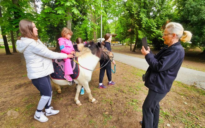 Poniji s OPG-a Jakupec - Konjički klub Epona prošle godine su došli uveseliti djecu/Foto: Nikica Puhalo/MojPortal.hr