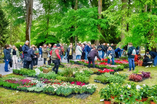 Julijev park kao jedan od najljepših u Hrvatskoj idealna je lokacija za ovakvu manifestaciju/Foto: Predrag Uskoković/Grad Daruvar