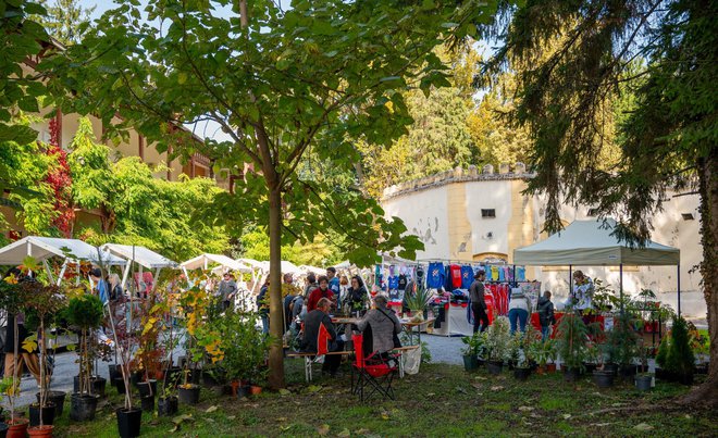 Foto: Predrag Uskoković/Grad Daruvar