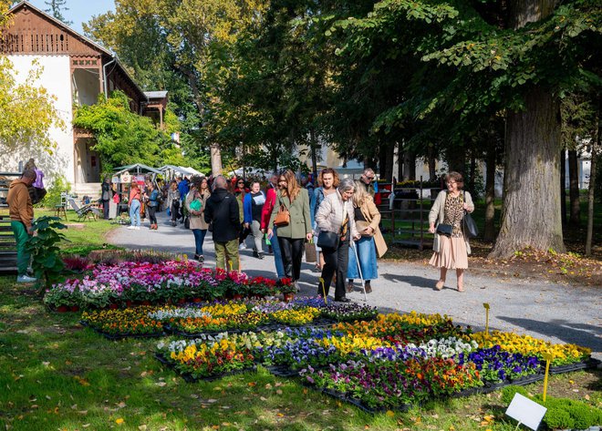 Foto: Predrag Uskoković/Grad Daruvar