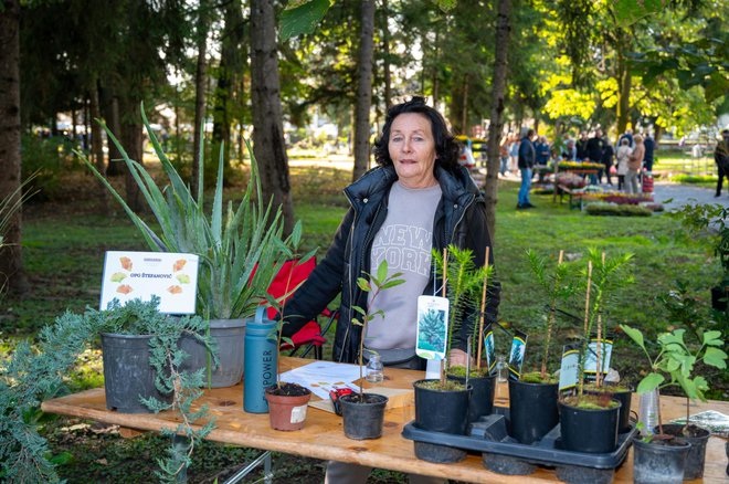 Foto: Predrag Uskoković/Grad Daruvar