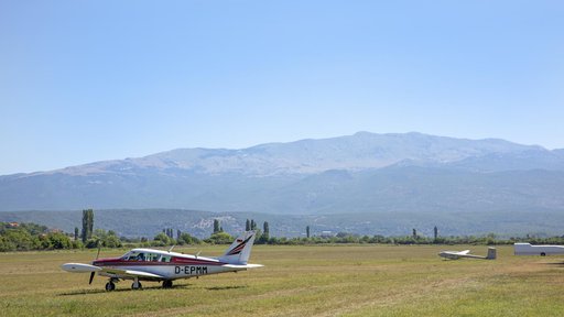 Vandali na aerodromu kod Čazme grafitima išarali avion: "Šteta je tisuću eura"