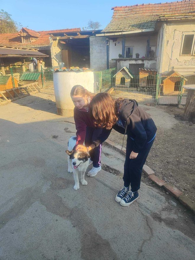 U Šapi se često rađaju velike ljubavi/Foto:OŠ Veliko Trojstvo