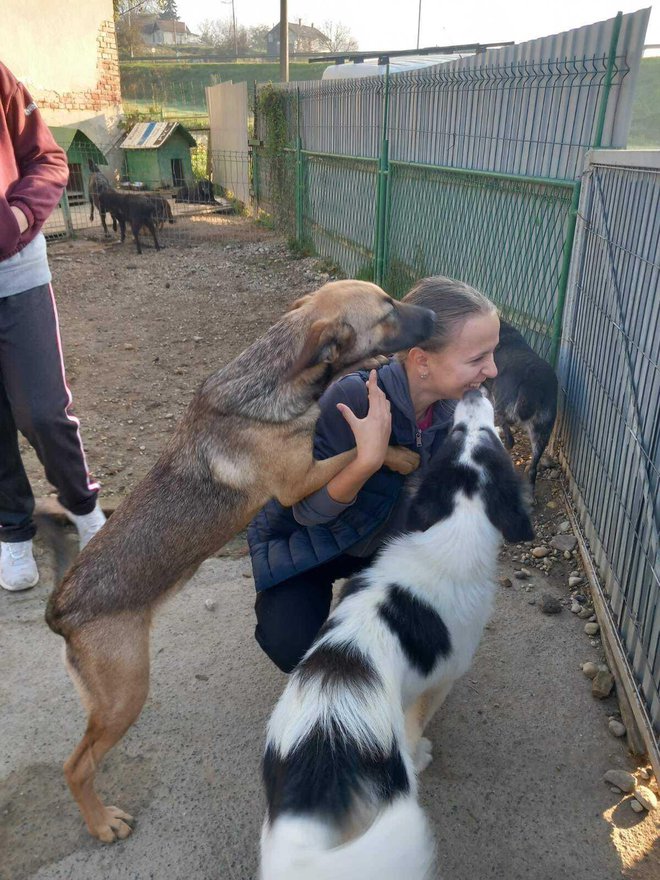 Psi su s oduševljenjem dočekali svoj goste/Foto:OŠ Veliko Trojstvo