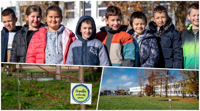 Fotografija: Foto: TZ područja Južna Bilogora