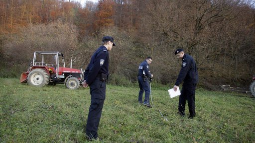 Ukrao stabla bukve i johe iz šume u Kipu: "Policija ga uhvatila dok ih je odvozio"