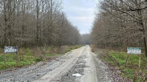 Čudo u šumi u okolici Bjelovara: Ovakve prometne znakove još niste vidjeli