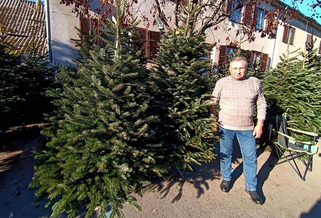 Nikola Jelić godinama prodje drvce u Bjelovaru, a mnoga i pokloni/Foto: Slavica Trgovac Martan