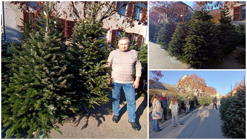 Fotografija: Foto: Slavica Trgovac Martan