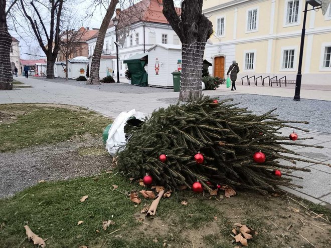 Stradali su ukrasi u središtu Bjelovara/Foto: Slavica Trgovac Martan