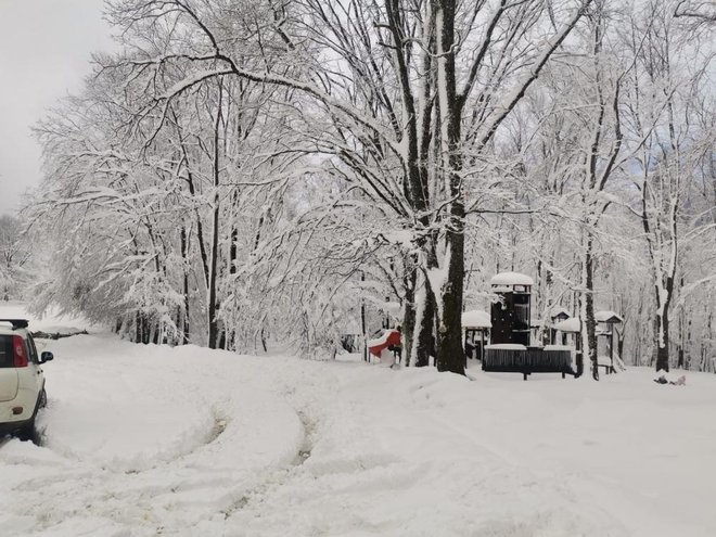 Foto: Zeleni Vrh d.o.o.