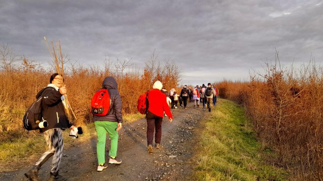 Foto: Udruga Lipa Garešnica