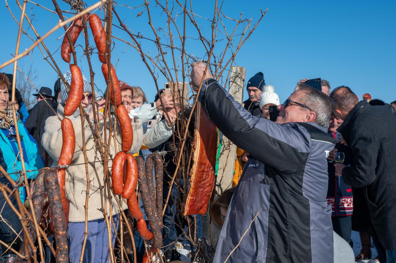 Fotografija: Tradicionalni blagoslov trsa na Vincekovo/ Foto: Predrag Uskoković/Grad Daruvar