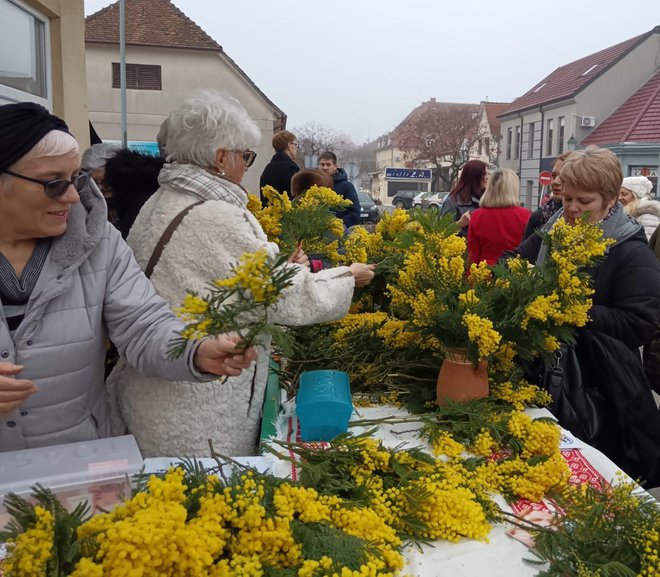 Oko štanda Lige je i danas vladala gužva/Foto: Slavica Trgovac Martan