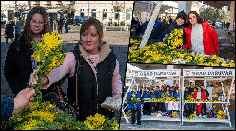 Fotografija: Foto: Predrag Uskoković/Grad Daruvar