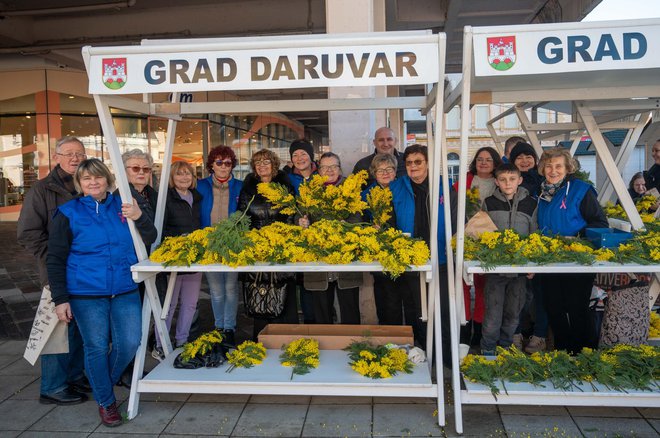 Foto: Predrag Uskoković/Grad Daruvar