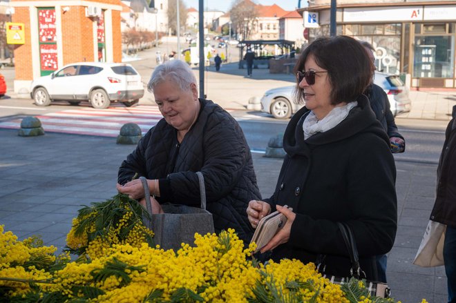 Foto: Predrag Uskoković/Grad Daruvar